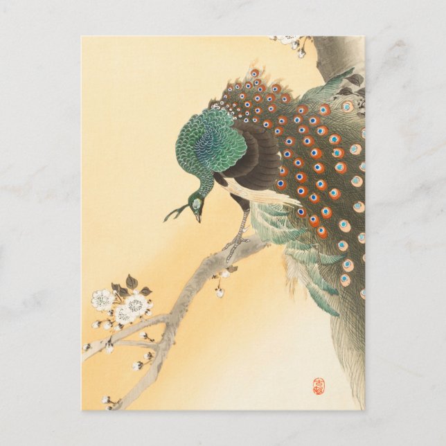 Peacock på en Cherry Blommar Träd av Ohara Koson Vykort (Framsida)