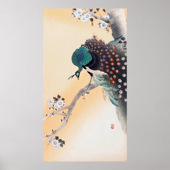 Peacock på en Cherry Blommar Träd, Ohara Koson Poster (Framsidan)