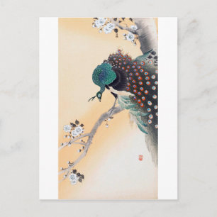 Peacock på en Cherry Blommar Träd, Ohara Koson Vykort
