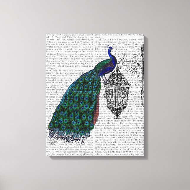Peacock på lampa canvastryck (Framsida)