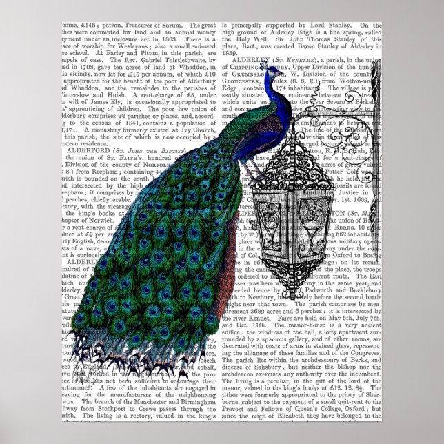 Peacock på lampa poster (Framsidan)