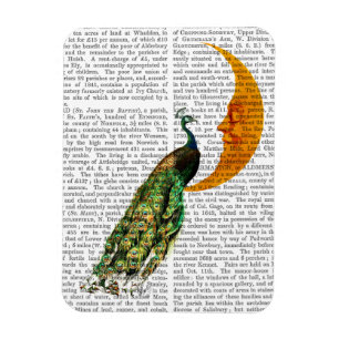 Peacock på Måne Magnet