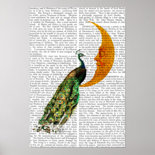 Peacock på Måne Poster