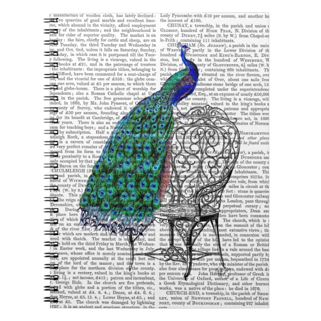 Peacock på ordförande anteckningsbok med spiral (Framsidan)