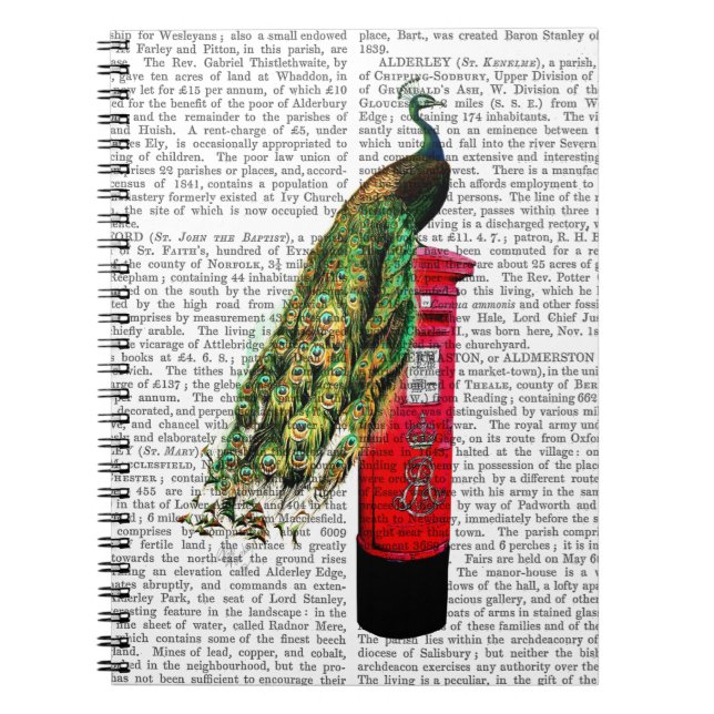 Peacock på Postbox Anteckningsbok (Framsidan)