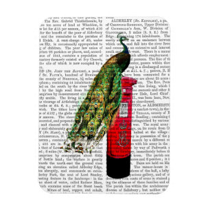 Peacock på Postbox Magnet