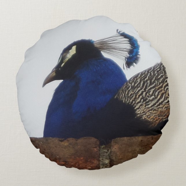 Peacock på väggens runda fyllning rund kudde (Baksidan)