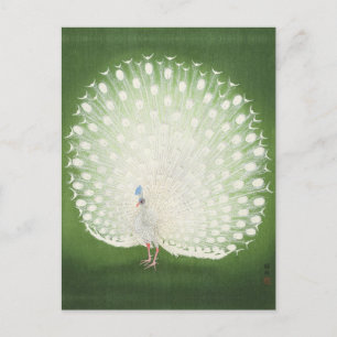 Peacock Painting by Ohara Koson Postcard Vykort