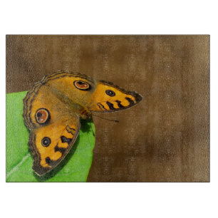 Peacock Pansy