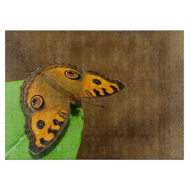 Peacock Pansy (Framsidan)