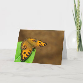 Peacock Pansy Butterfly Kort