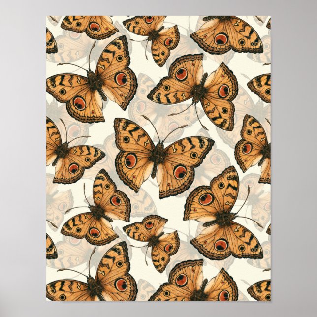Peacock pansy butterfly mönster poster (Framsidan)