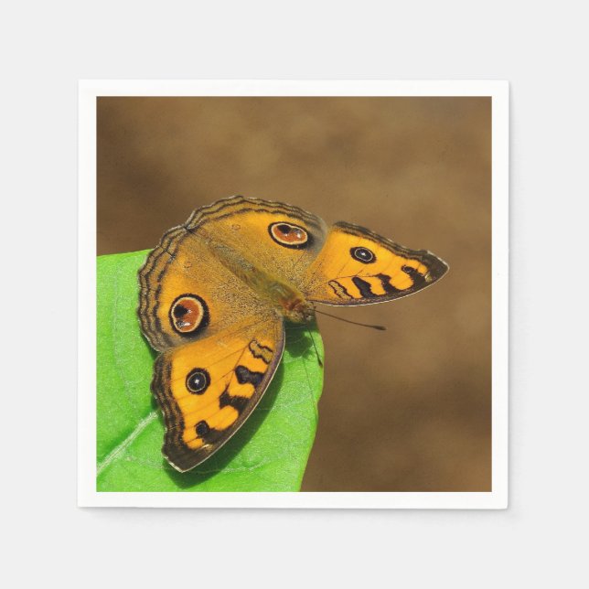Peacock Pansy Pappersservett (Framsidan)
