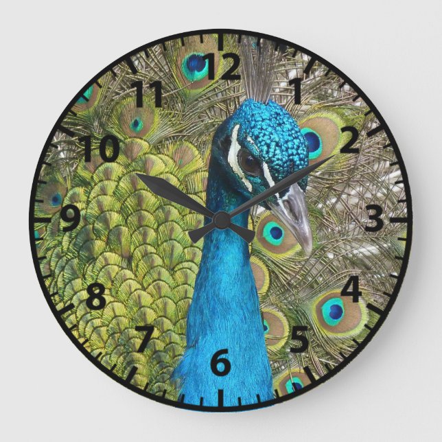Peacock Peacocks Birds Clock Stor Klocka (Framsida)