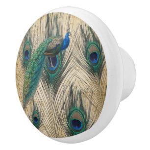 Peacock & Pecock Feathers W/Music Papper bakgrund Knopp