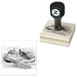 Peacock Pheasant Mixad skrapbooking Stämpel