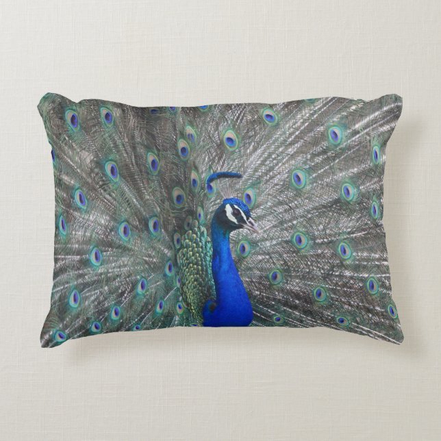 PEACOCK PHOTO ACCENT PILLOW PRYDNADSKUDDE (Framsidan)