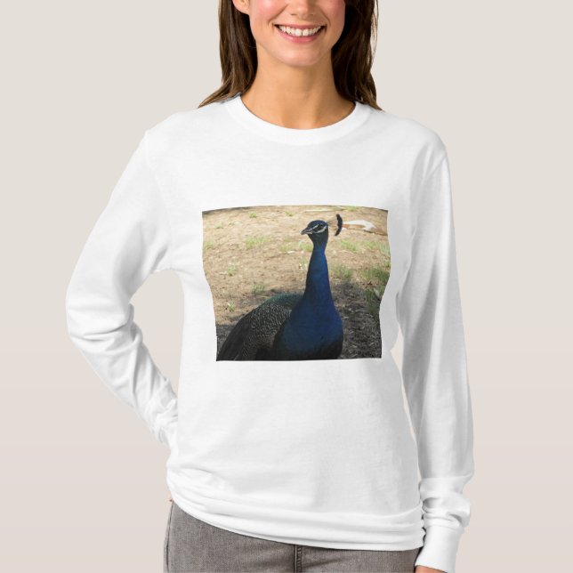 Peacock Photo Bright Blue Beval Bird T Shirt (Framsida)