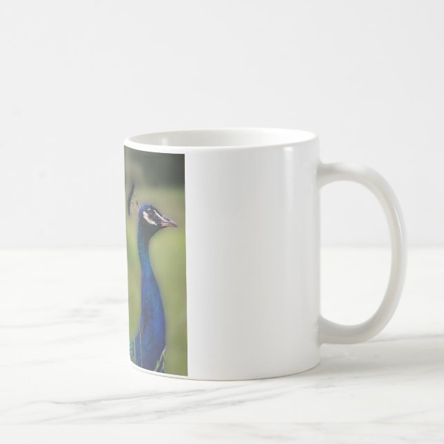 Peacock Photo Classic White Mugg (Höger)