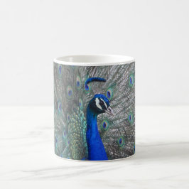 PEACOCK PHOTO COFFEE MUGG