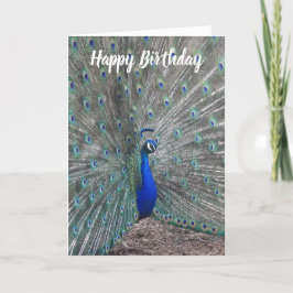 PEACOCK PHOTO HAPPY BIRTHDAY GREETING CARD KORT