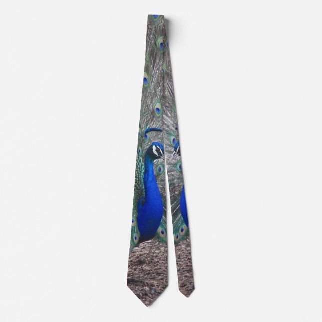 PEACOCK PHOTO NECK TIE SLIPS (Framsida)