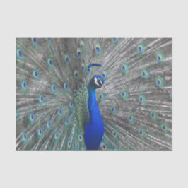 PEACOCK PHOTO TISSUE PAPER