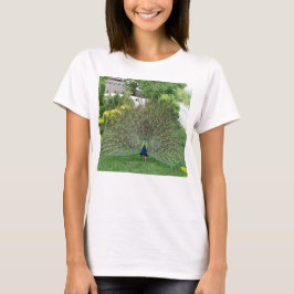 Peacock Photo Women's Basic T-Shirt, White Tee Shirt