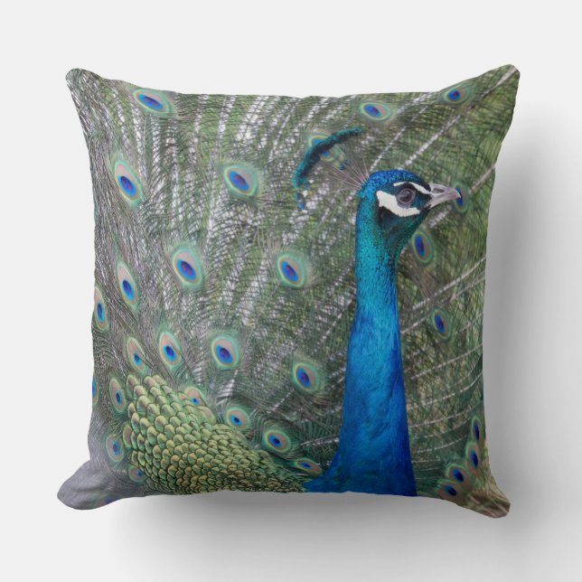 Peacock Photography Kudde (Framsida)