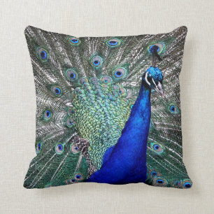 Peacock Pillow Kudde