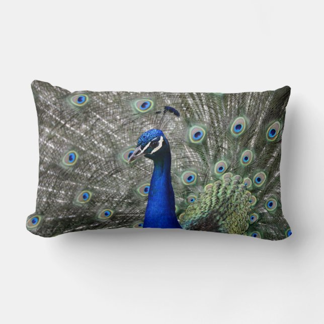 Peacock Pillow Lumbarkudde (Framsida)