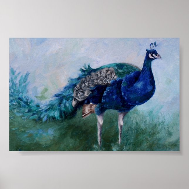 Peacock Poster (Framsidan)