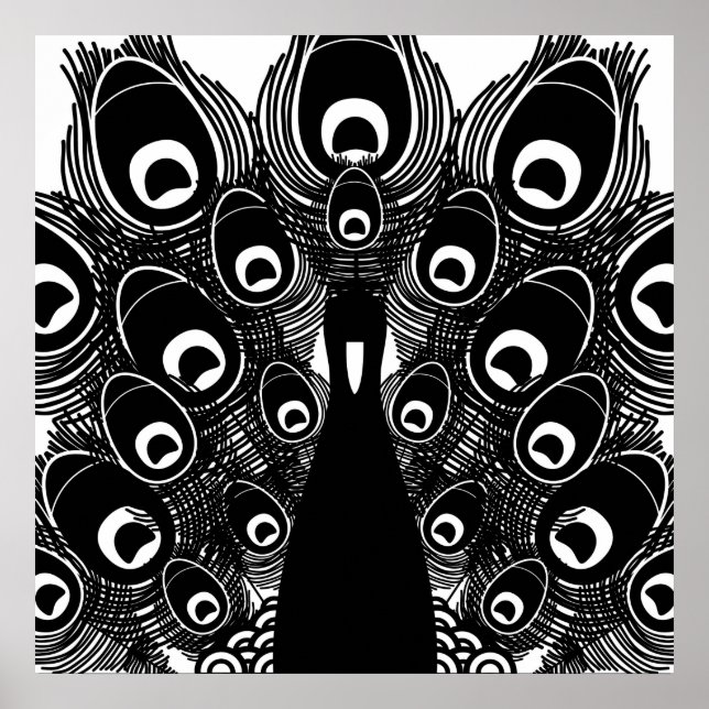 Peacock Poster (Framsidan)