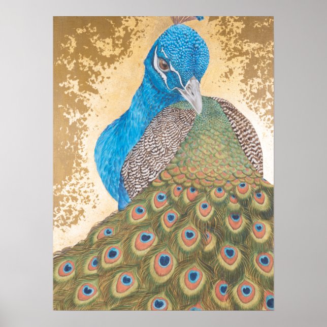 Peacock Poster (Framsidan)