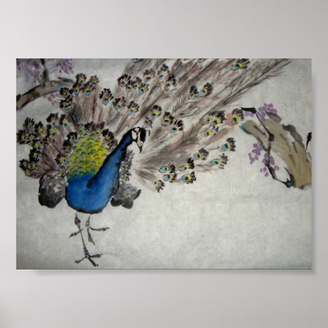 Peacock Poster (Framsidan)