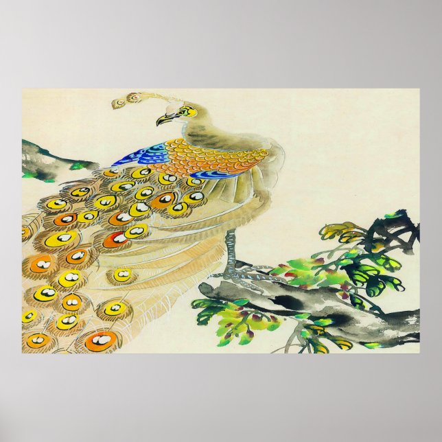 Peacock poster Teckning 1 (Framsidan)