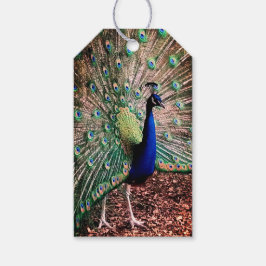 Peacock Presentetikett