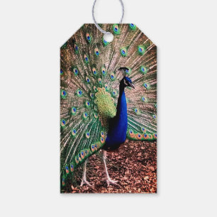 Peacock Presentetikett