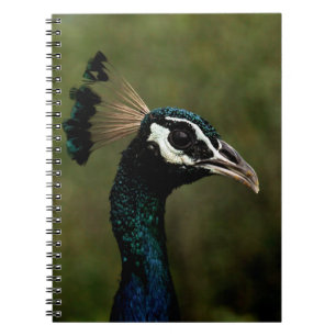 Peacock profil anteckningsbok