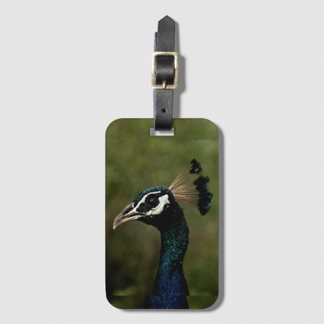 Peacock profil bagagebricka (Framsida vertikal)