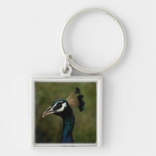 Peacock profil fyrkantig silverfärgad nyckelring