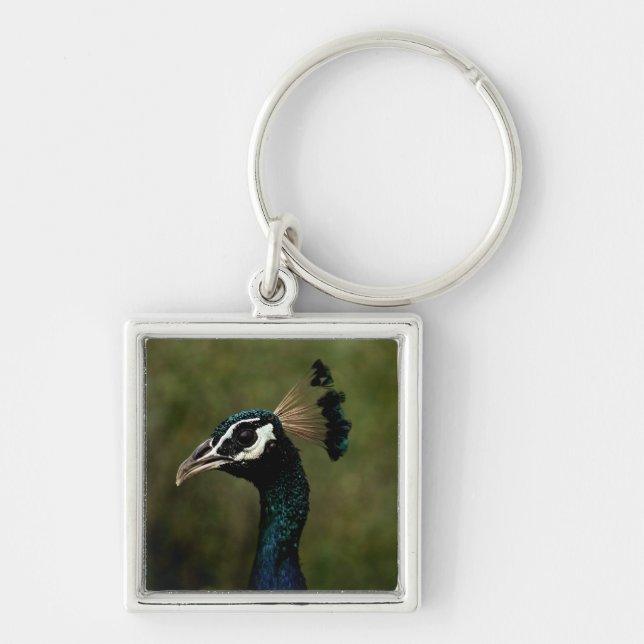 Peacock profil fyrkantig silverfärgad nyckelring (Framsidan)