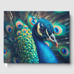 Peacock-profil Gästböcker