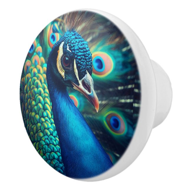 Peacock-profil Knopp (Höger)