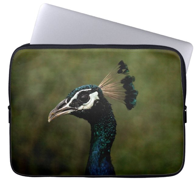 Peacock profil laptop fodral (Framsidan)