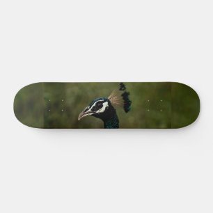 Peacock profil mini skateboard bräda 18,5 cm