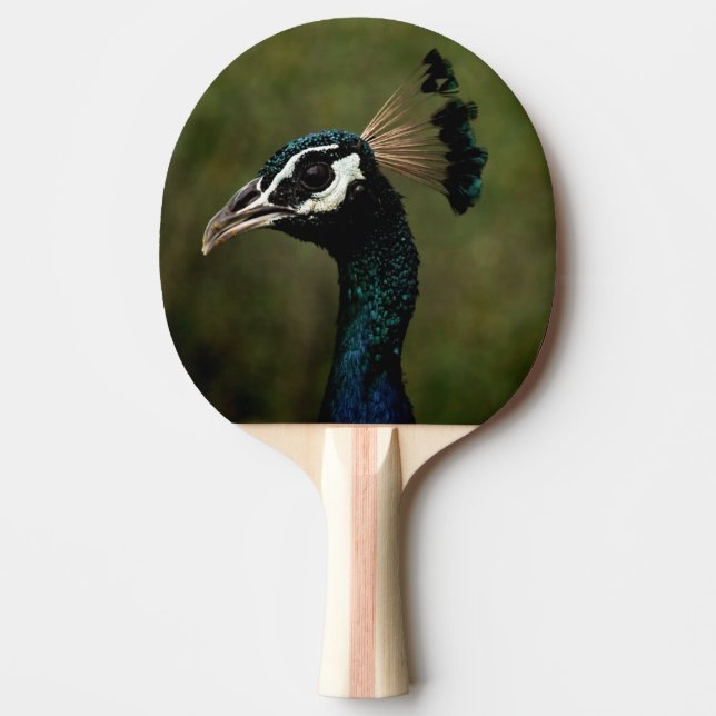Peacock profil pingisracket (Framsidan)