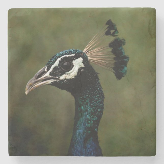 Peacock profil stenunderlägg (Framsidan)