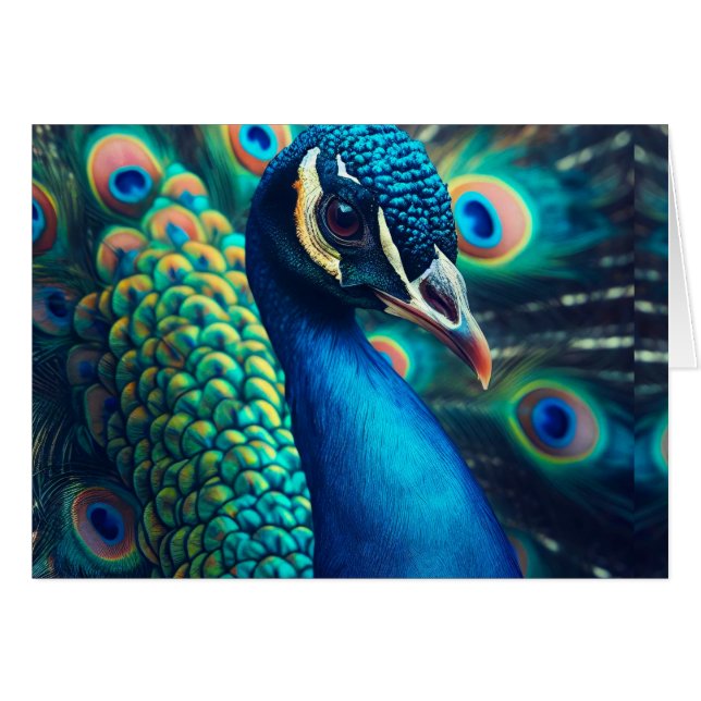 Peacock-profil tom insida hälsningskort (Framsidan Horizontal)