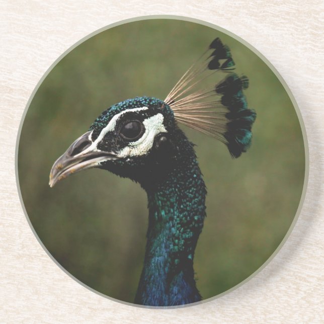 Peacock profil underlägg (Framsidan)